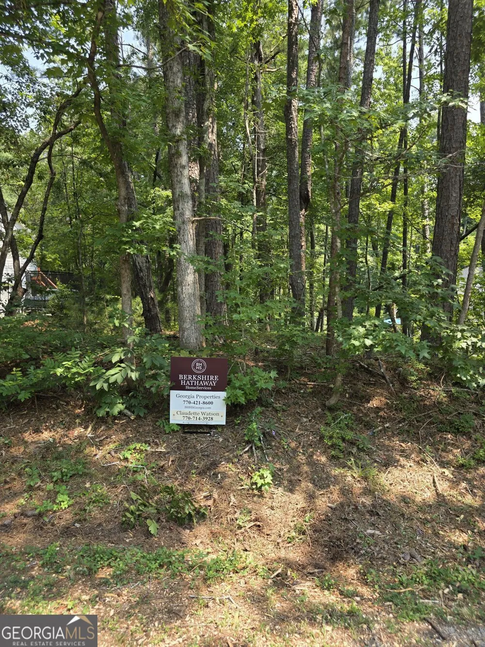 4195 Argonne PL Villa Rica, GA 30180