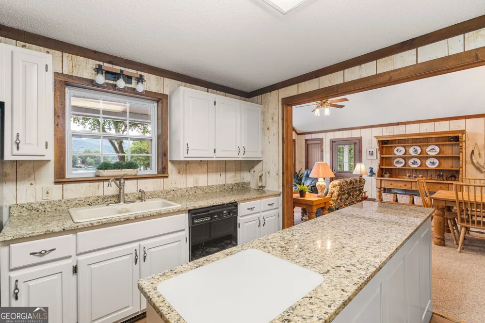 354 Harrison CIR Hiawassee, GA 30546