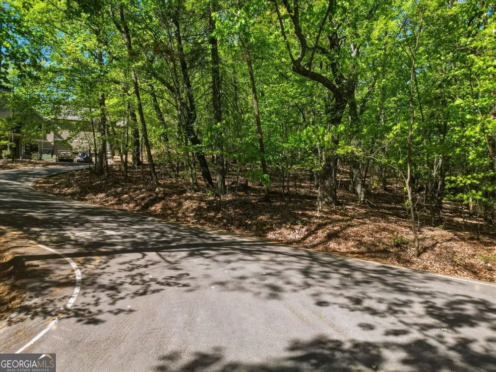 1095 McElroy Mountain DR Big Canoe, GA 30143
