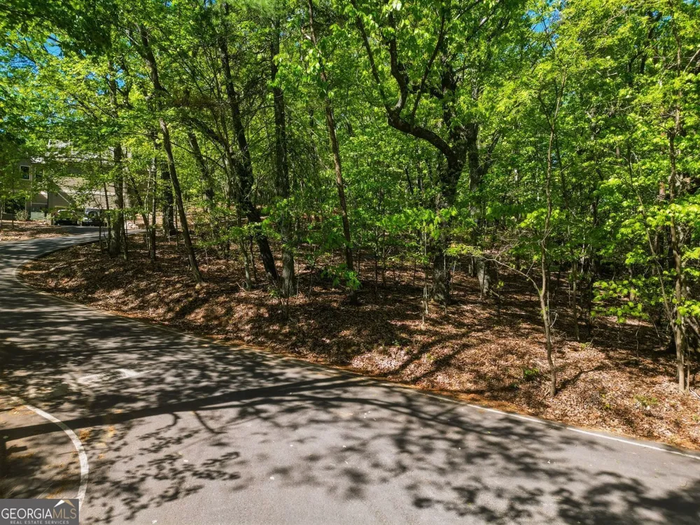 1095 McElroy Mountain DR Big Canoe, GA 30143