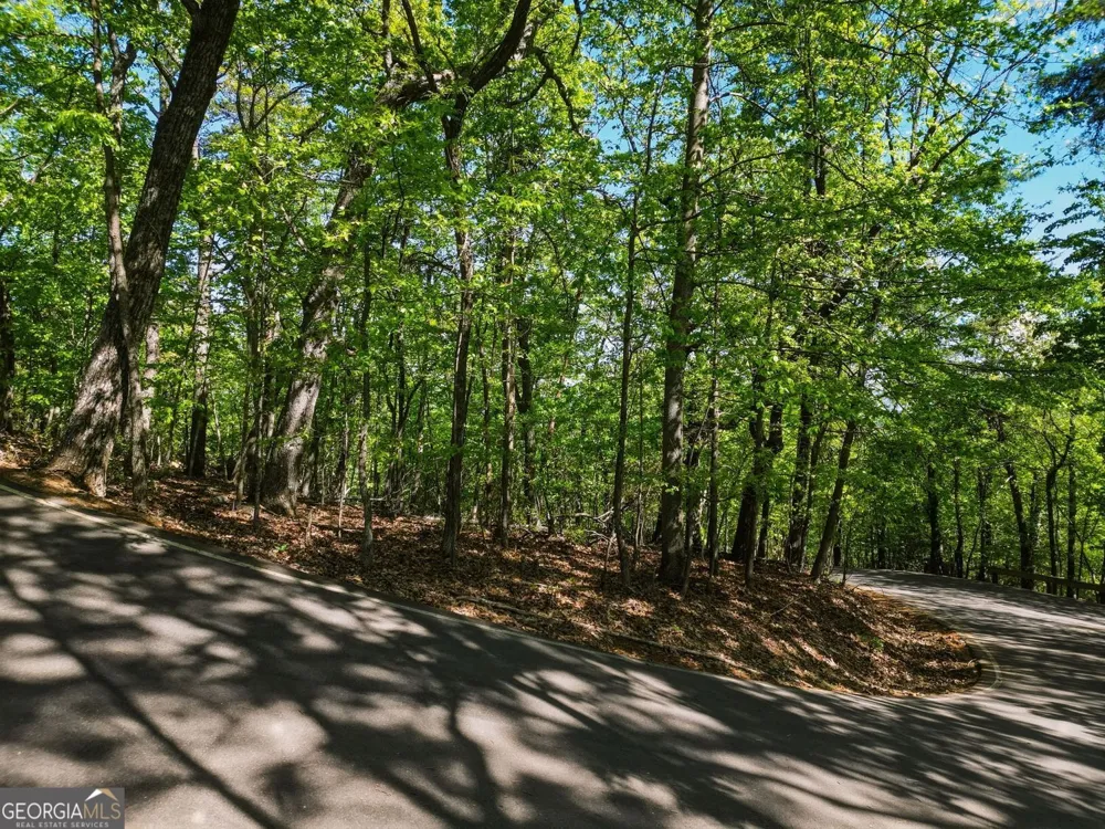 1095 McElroy Mountain DR Big Canoe, GA 30143