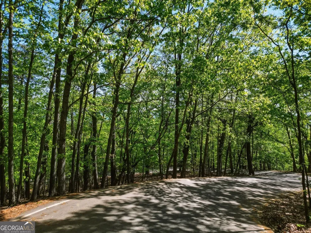 1095 McElroy Mountain DR Big Canoe, GA 30143