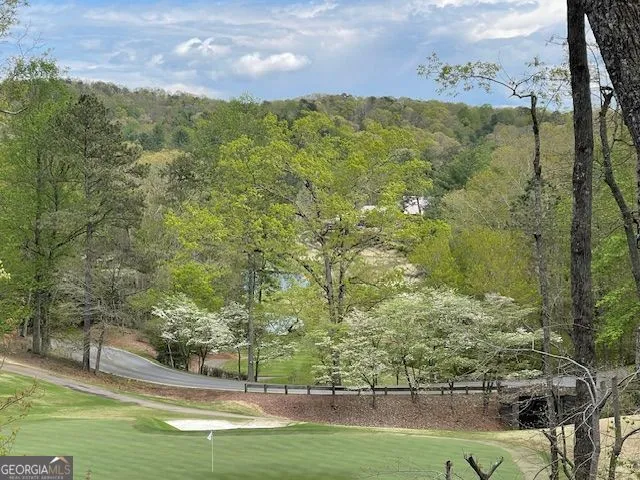 1095 McElroy Mountain DR Big Canoe, GA 30143