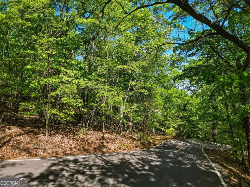 1095 McElroy Mountain DR Big Canoe, GA 30143