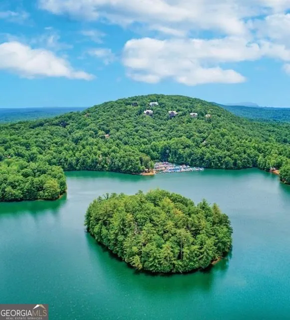 1095 McElroy Mountain DR Big Canoe, GA 30143