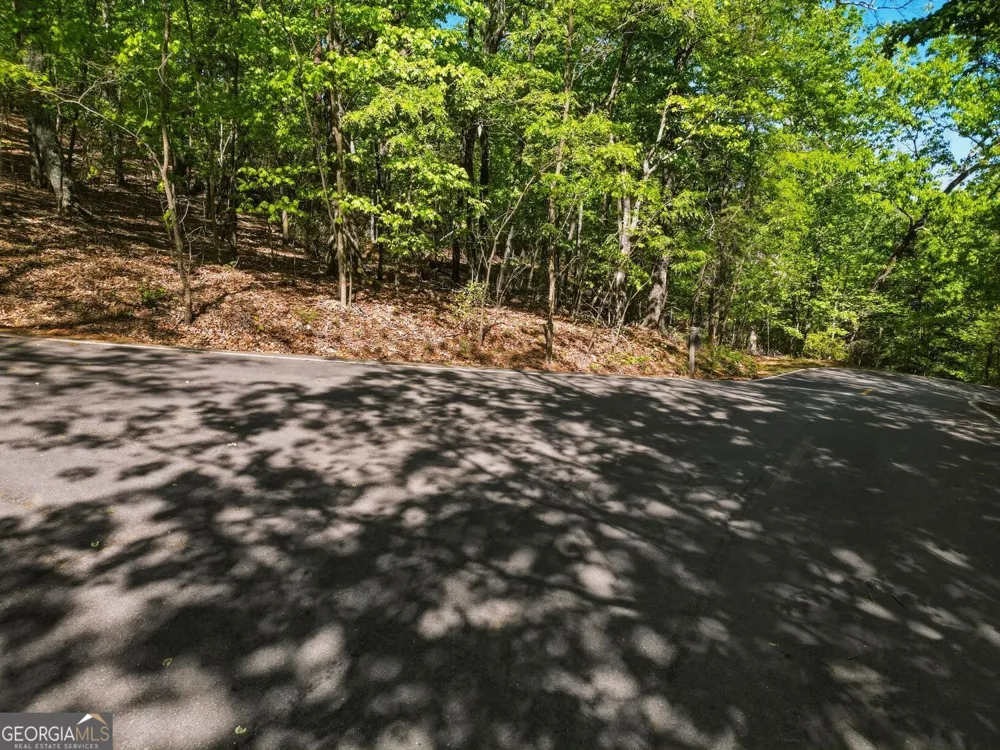 1095 McElroy Mountain DR Big Canoe, GA 30143