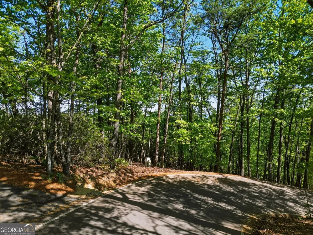 1095 McElroy Mountain DR Big Canoe, GA 30143