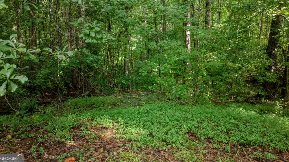 0 Brimer RD Newnan, GA 30263