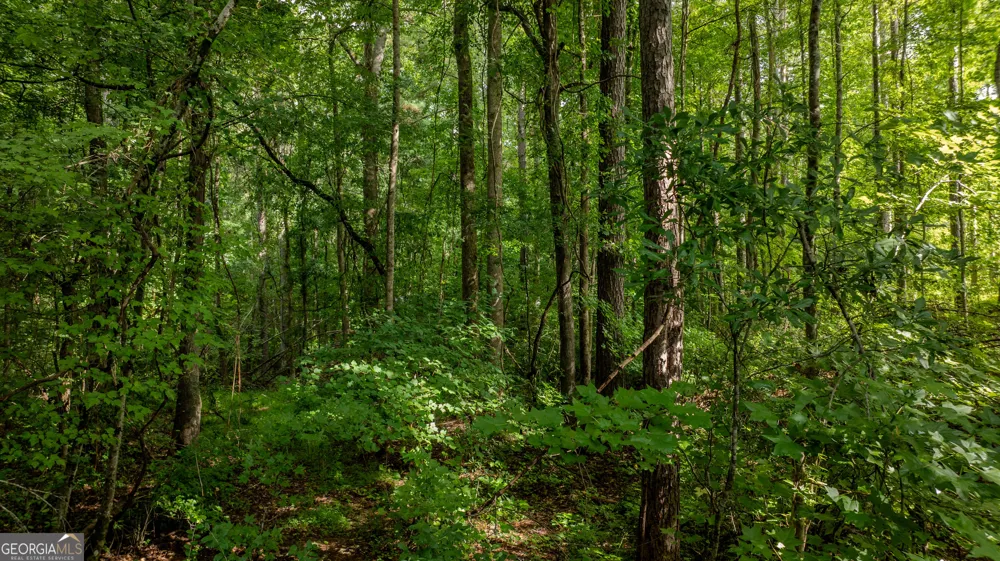 0 Brimer RD Newnan, GA 30263