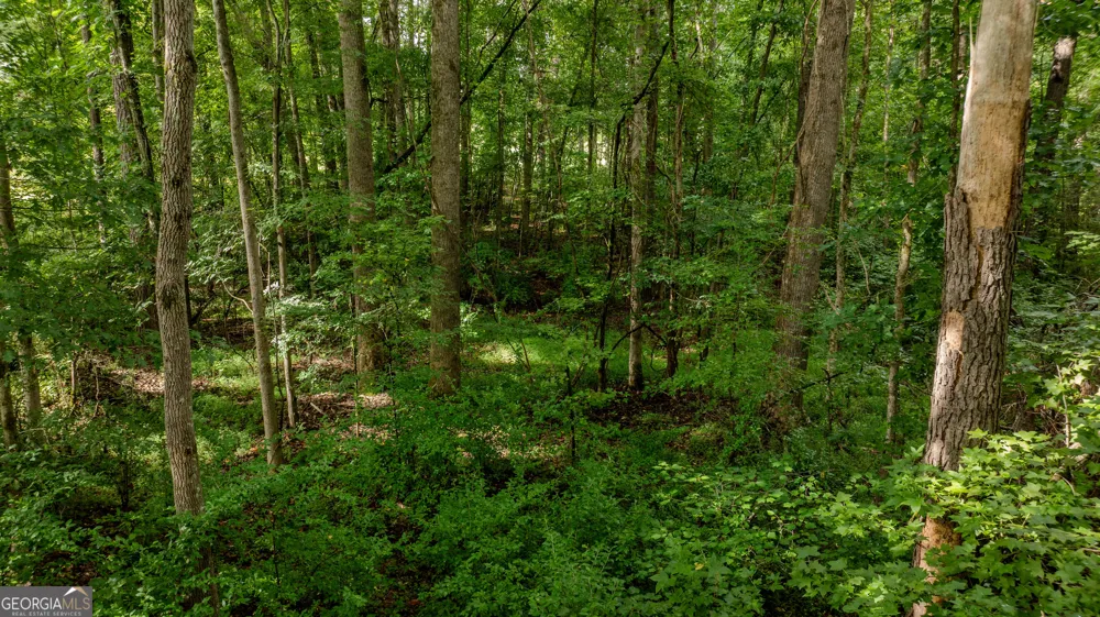 0 Brimer RD Newnan, GA 30263