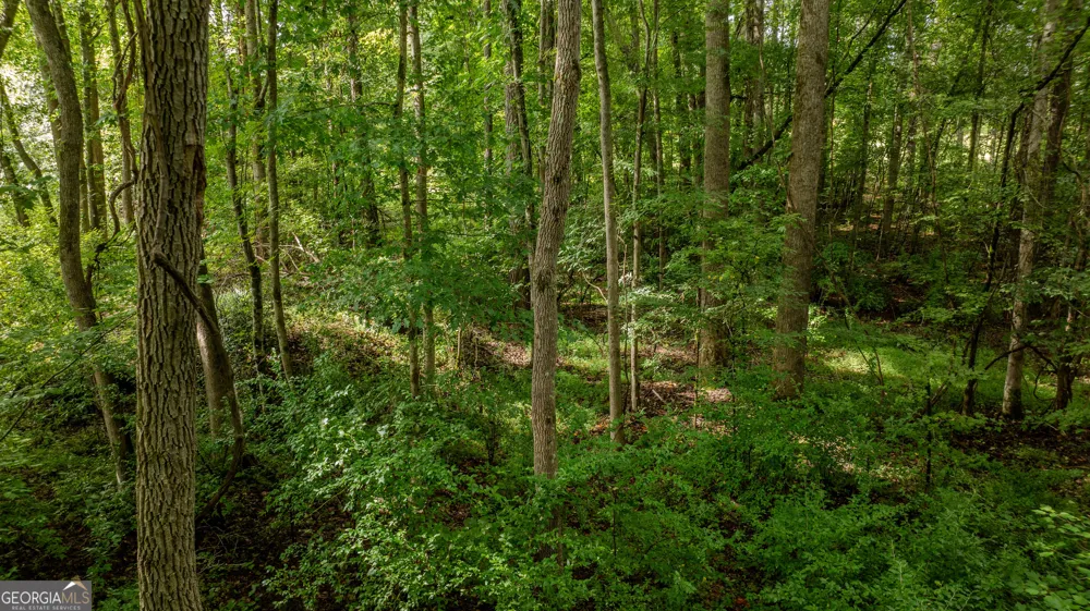 0 Brimer RD Newnan, GA 30263