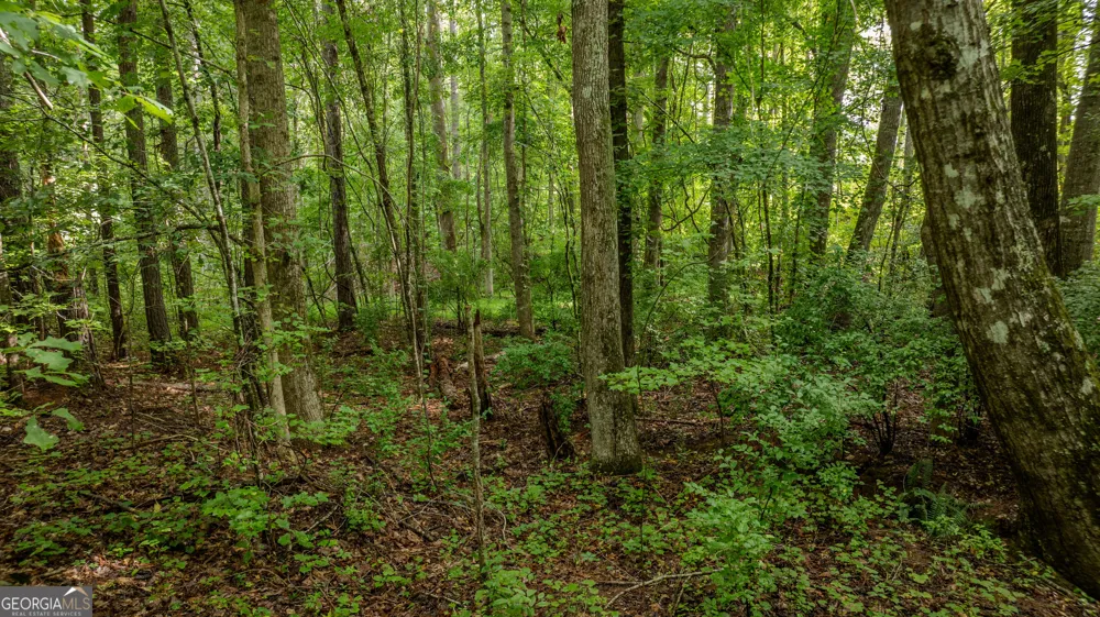 0 Brimer RD Newnan, GA 30263