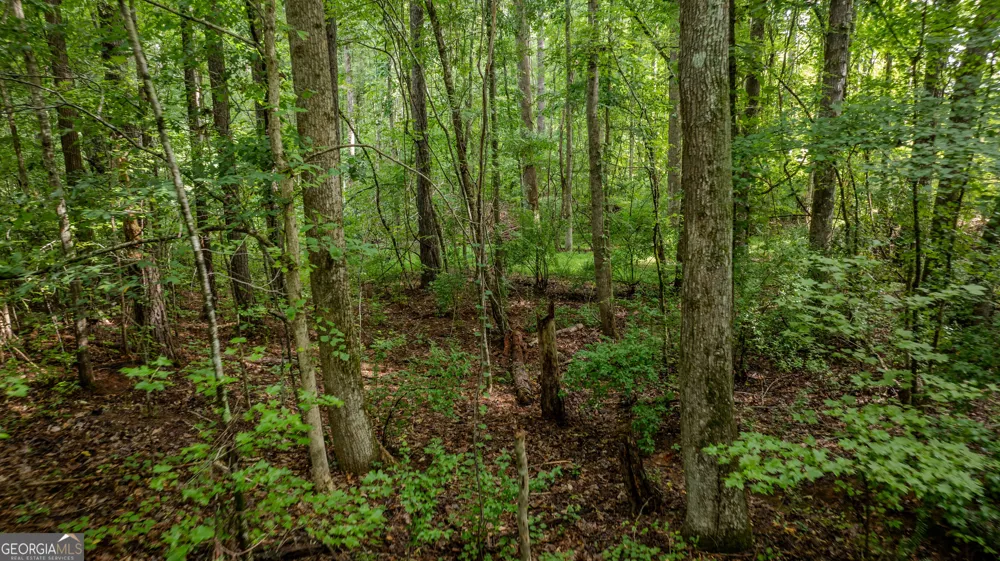0 Brimer RD Newnan, GA 30263