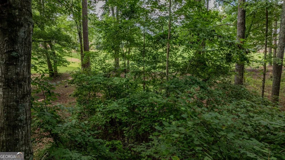0 Brimer RD Newnan, GA 30263