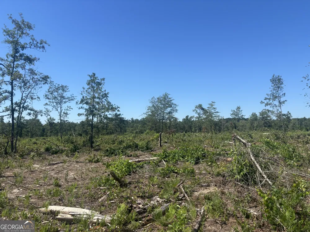 38 ACRES N Ga Highway 240 N CONNECTOR Mauk, GA 31058
