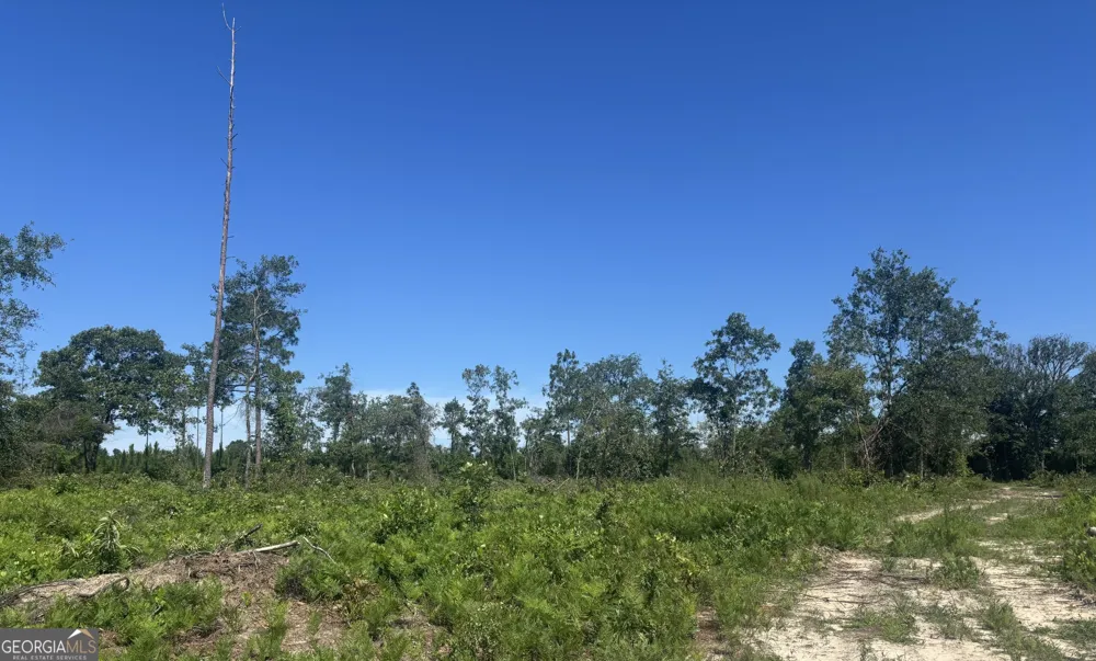 38 ACRES N Ga Highway 240 N CONNECTOR Mauk, GA 31058