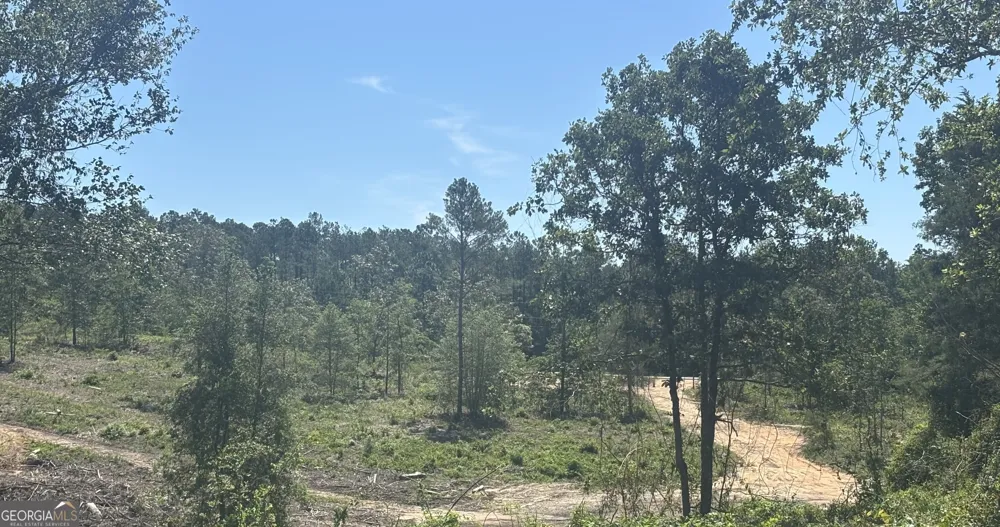 38 ACRES N Ga Highway 240 N CONNECTOR Mauk, GA 31058