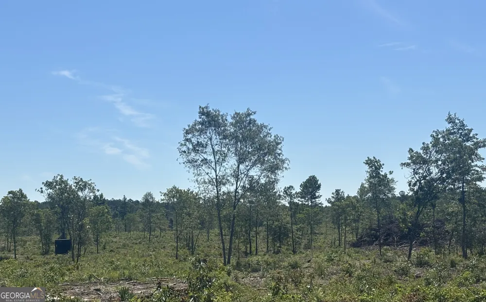 38 ACRES N Ga Highway 240 N CONNECTOR Mauk, GA 31058