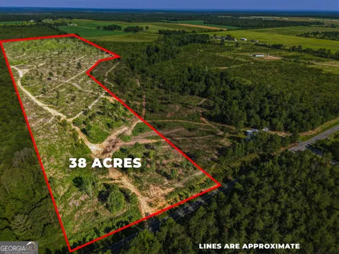 38 ACRES N Ga Highway 240 N CONNECTOR