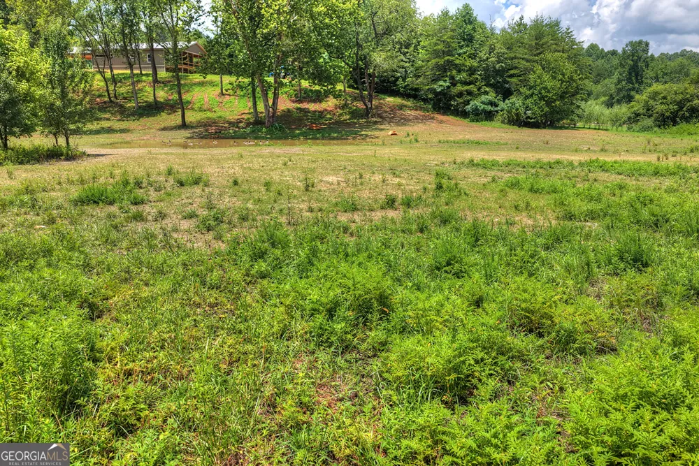2125 Shady GRV Murphy, NC 28906