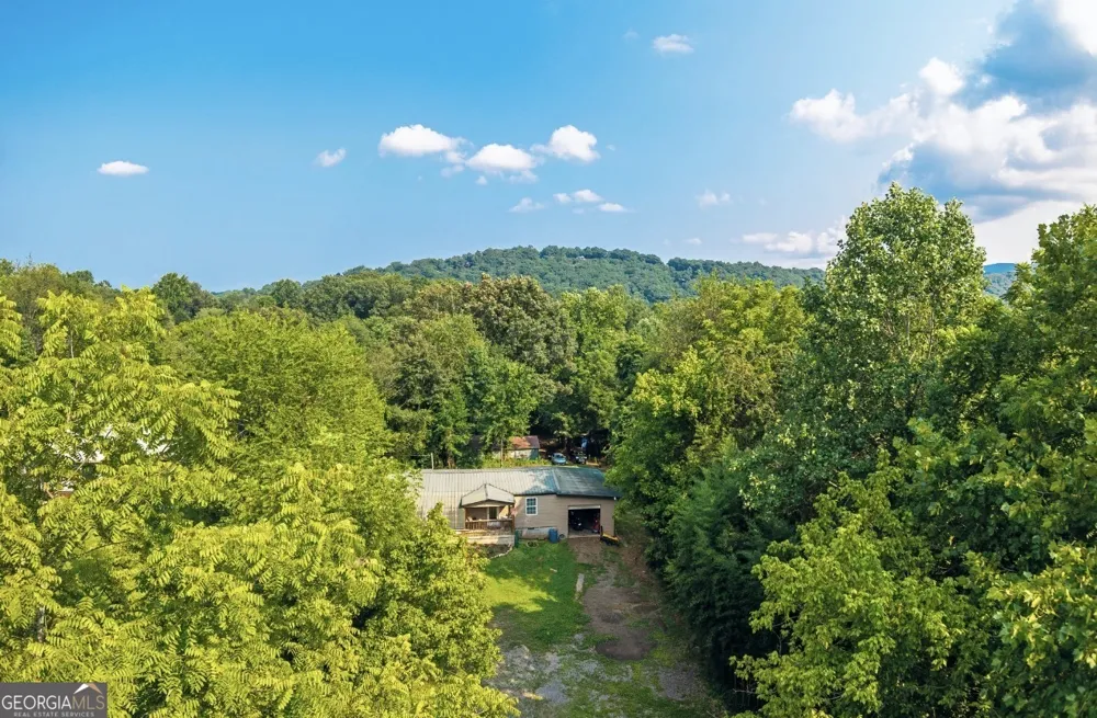 345 State ST Blue Ridge, GA 30513