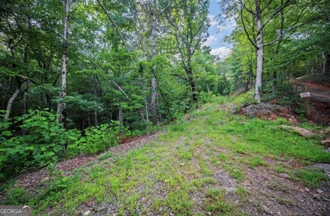 LT 760 Morton DR