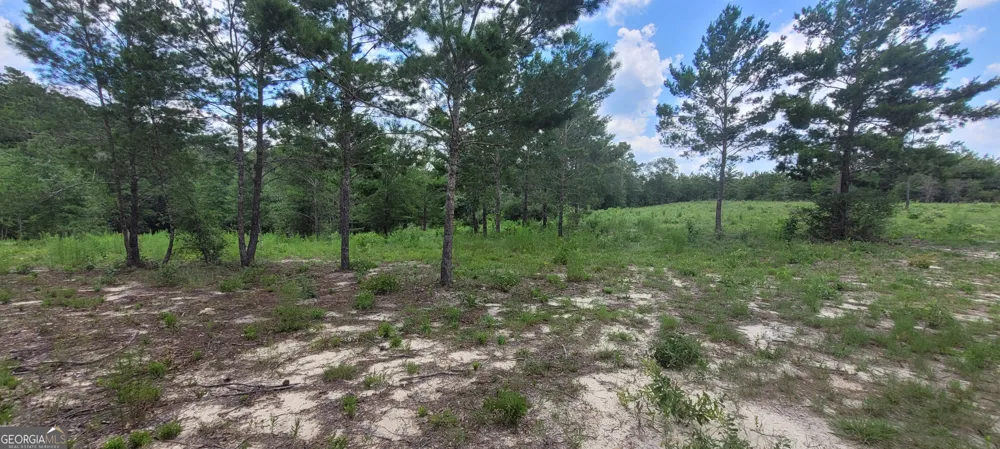 10.29 ACRES Holmes Valley RD Vernon, FL 32462