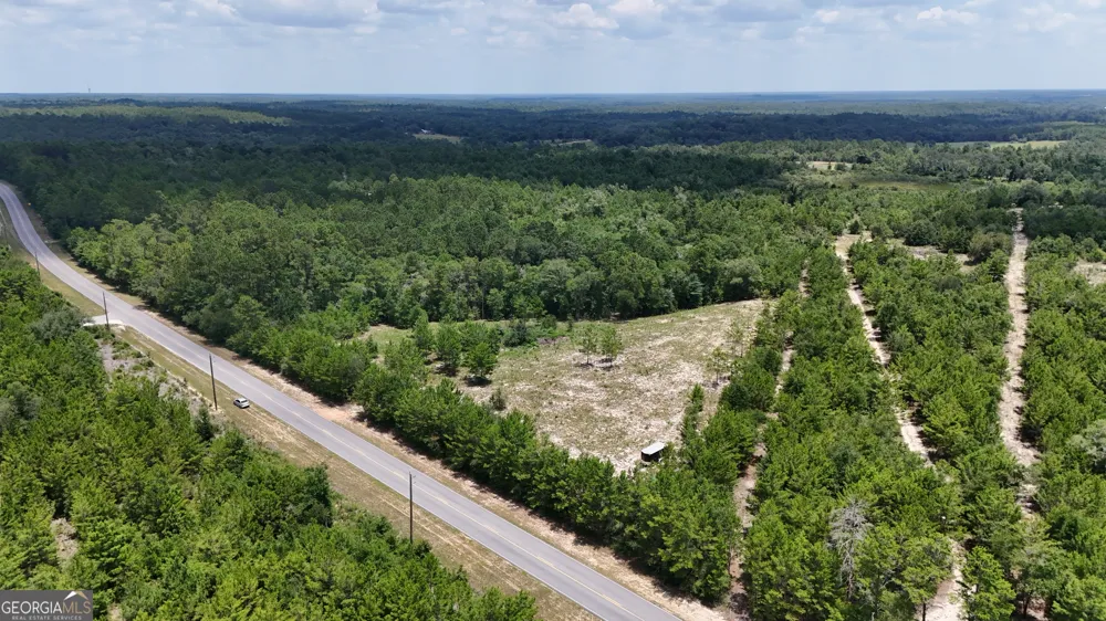 10.29 ACRES Holmes Valley RD Vernon, FL 32462