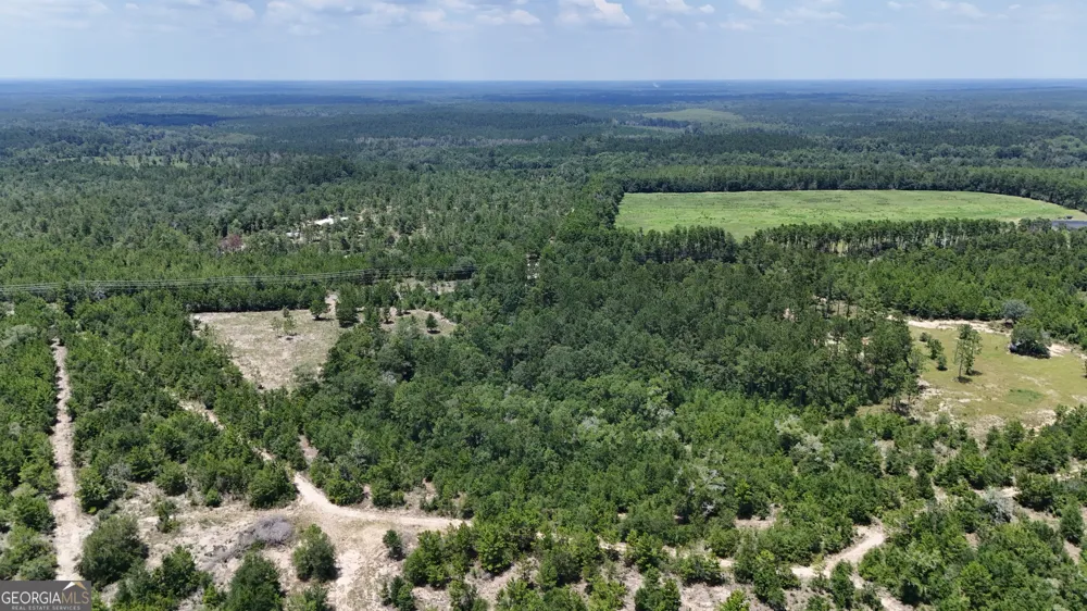 10.29 ACRES Holmes Valley RD Vernon, FL 32462