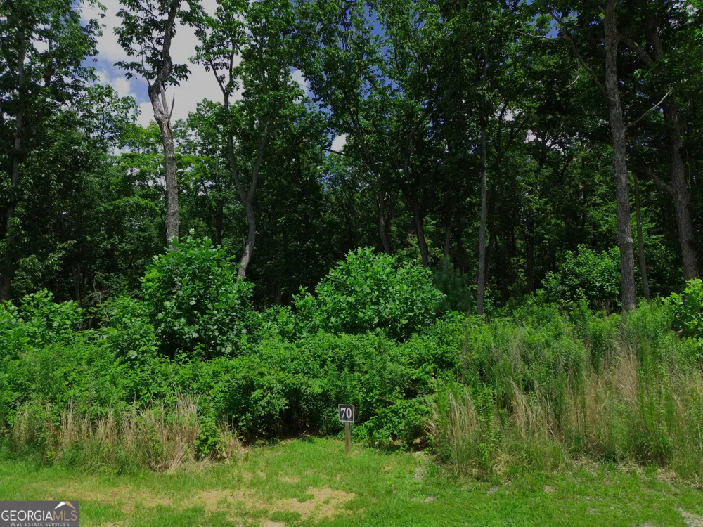 LOT 70 High Summit DR Talking Rock, GA 30175