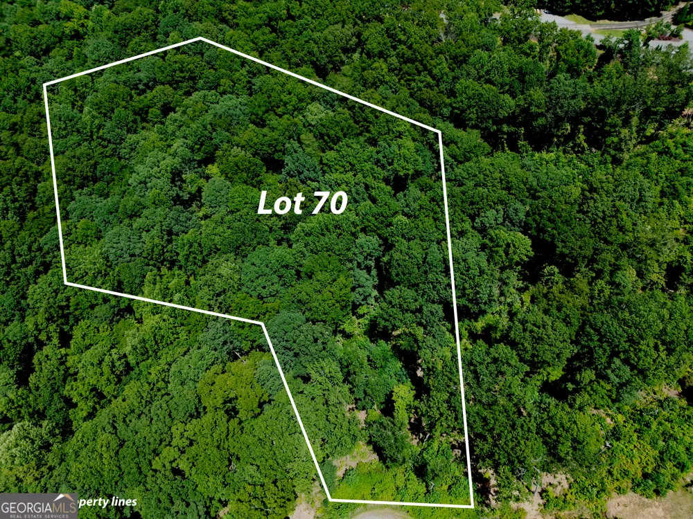 LOT 70 High Summit DR Talking Rock, GA 30175
