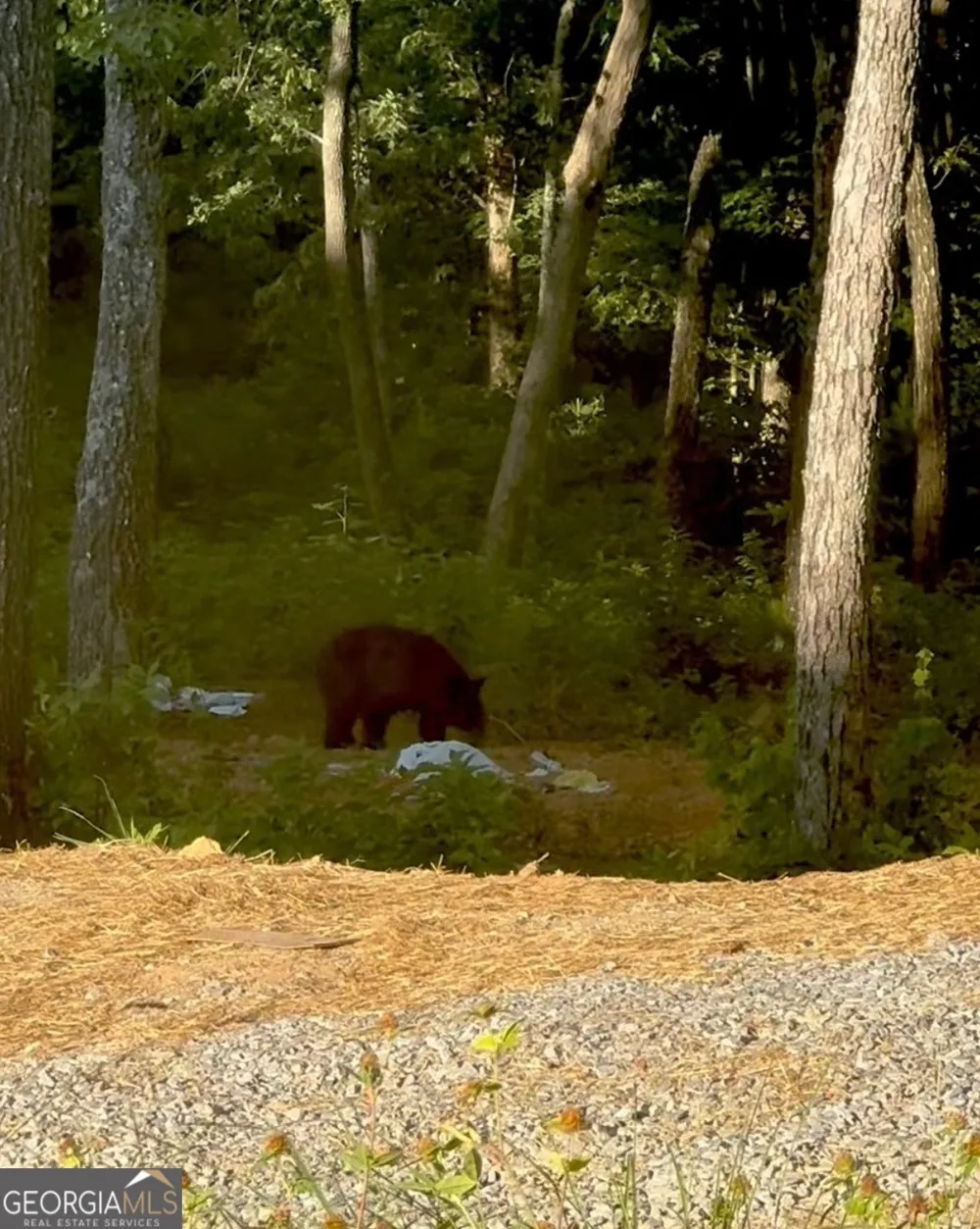 LOT 70 High Summit DR Talking Rock, GA 30175