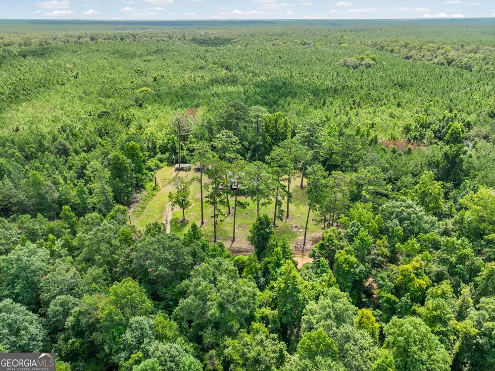 3086 Dukes Creek RD Edison, GA 39846