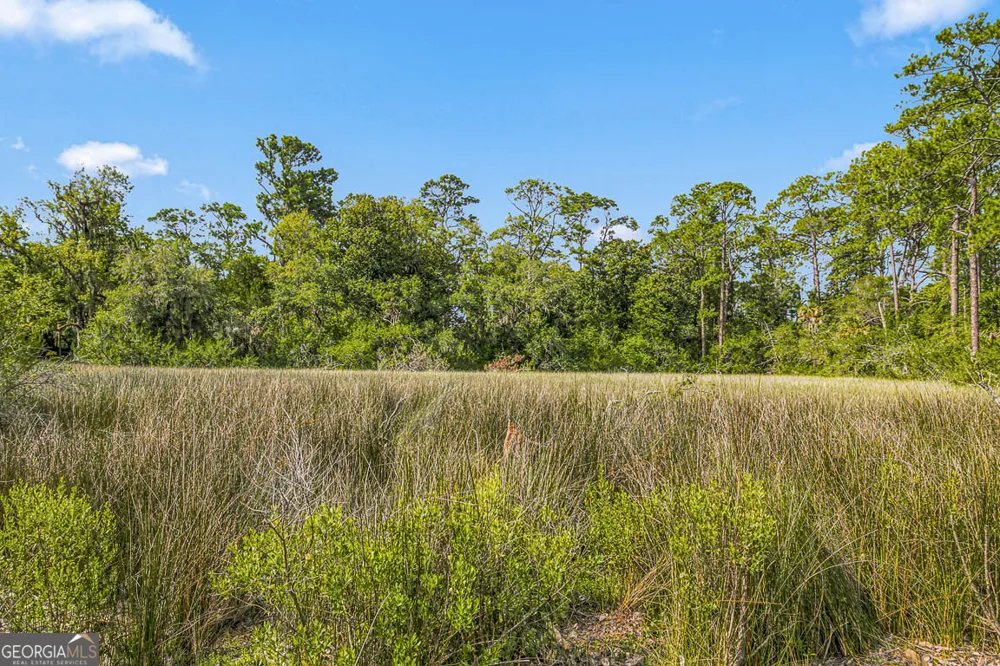 122 Shore Rush DR St. Simons, GA 31522