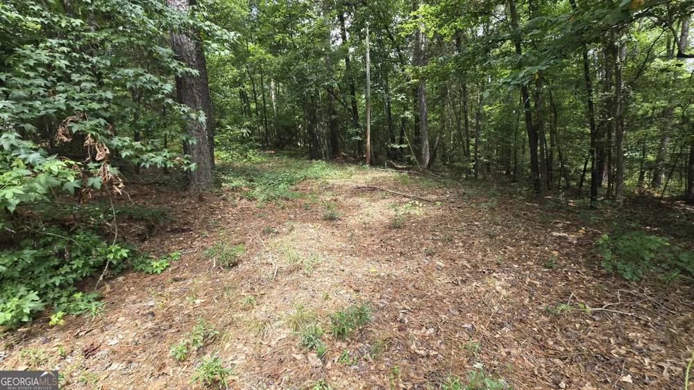 5171 Highway 138 Loganville, GA 30052
