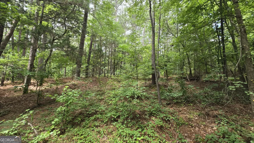 5171 Highway 138 Loganville, GA 30052