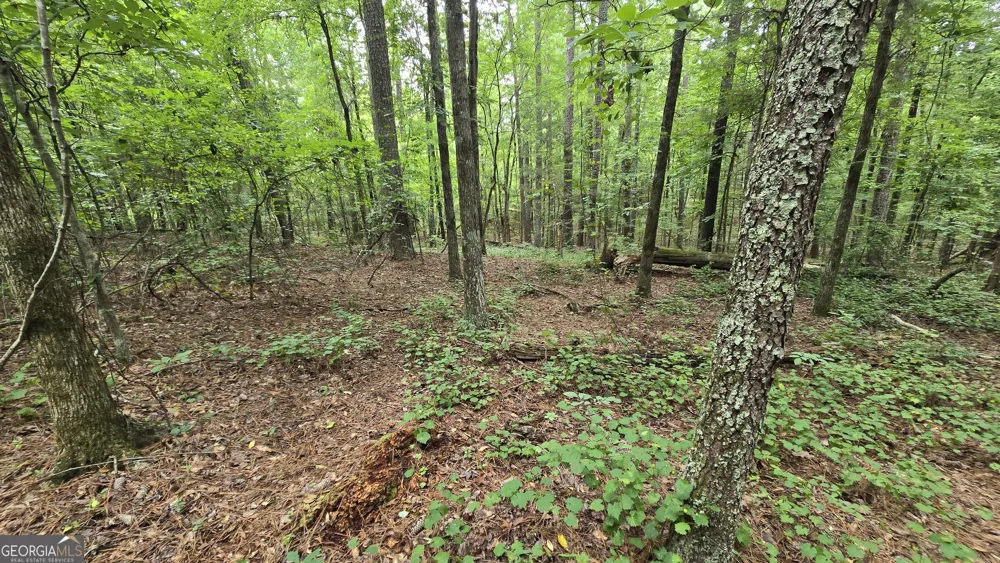 5171 Highway 138 Loganville, GA 30052