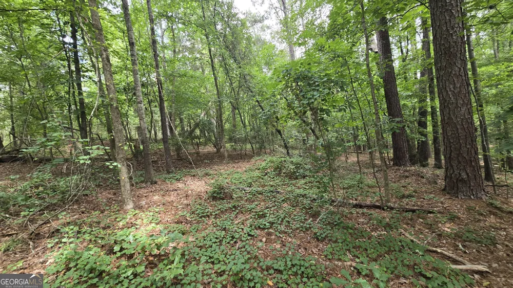 5171 Highway 138 Loganville, GA 30052