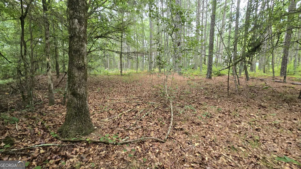 5171 Highway 138 Loganville, GA 30052