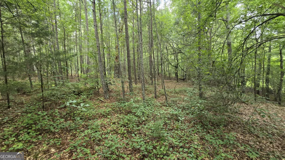 5171 Highway 138 Loganville, GA 30052