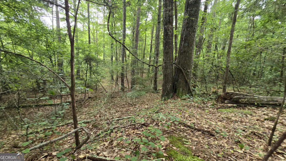 5171 Highway 138 Loganville, GA 30052