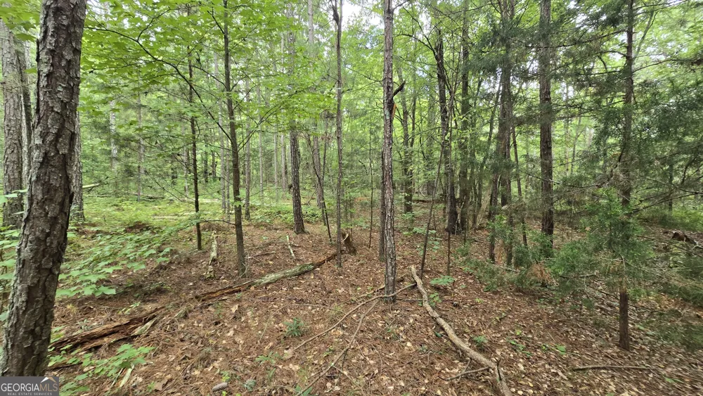 5171 Highway 138 Loganville, GA 30052