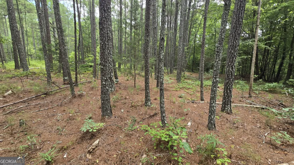 5171 Highway 138 Loganville, GA 30052