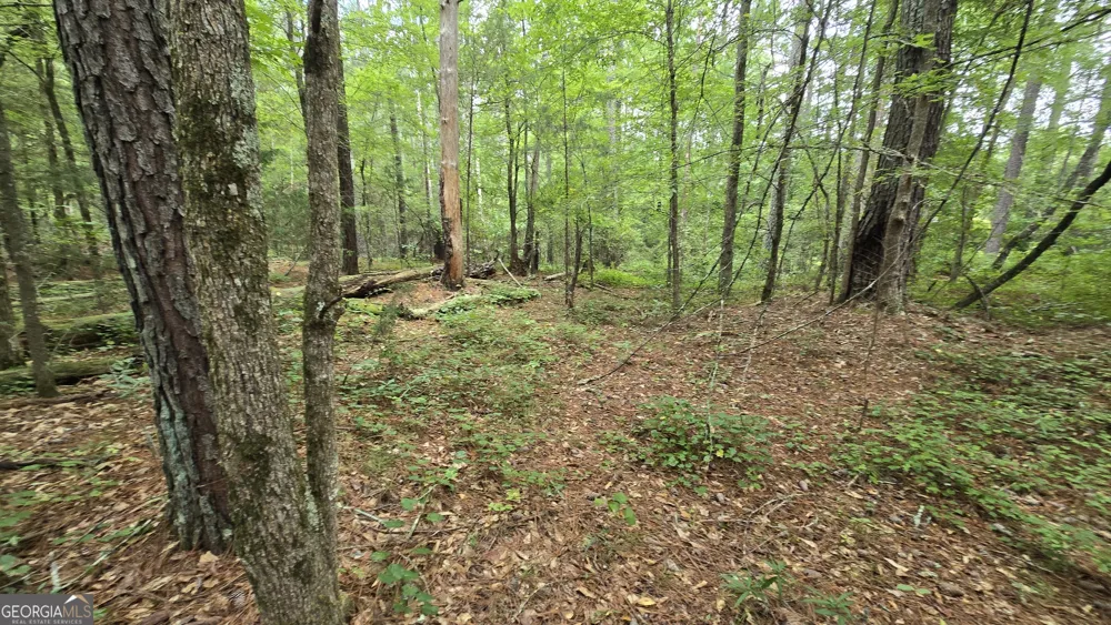 5171 Highway 138 Loganville, GA 30052