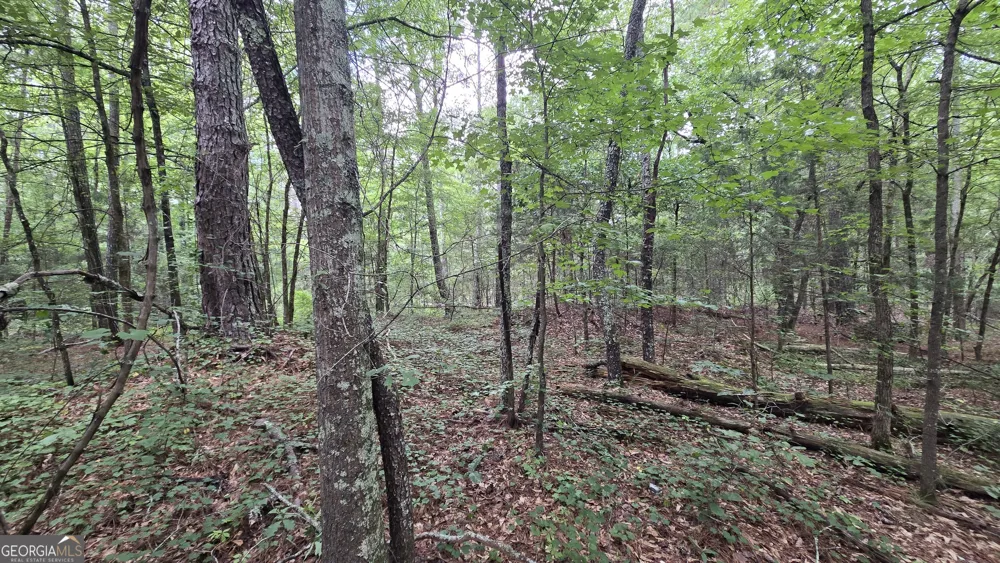 5171 Highway 138 Loganville, GA 30052
