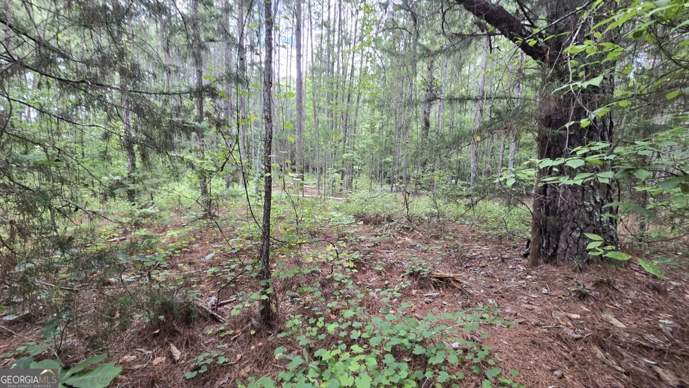 5171 Highway 138 Loganville, GA 30052