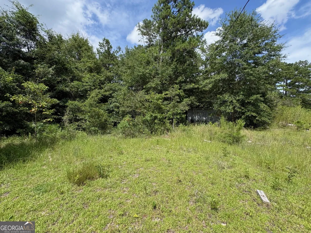4089 Jordan RD Byron, GA 31008