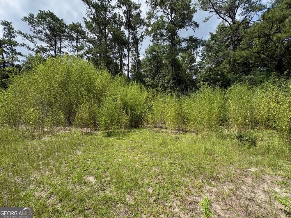 4089 Jordan RD Byron, GA 31008
