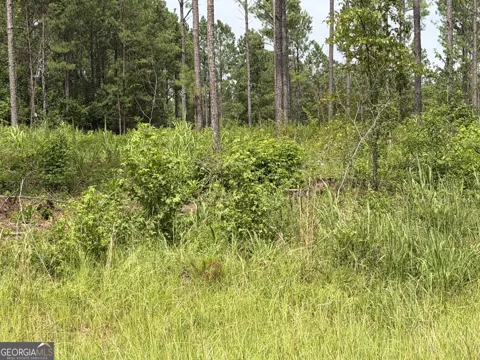 007 Old Monticello RD