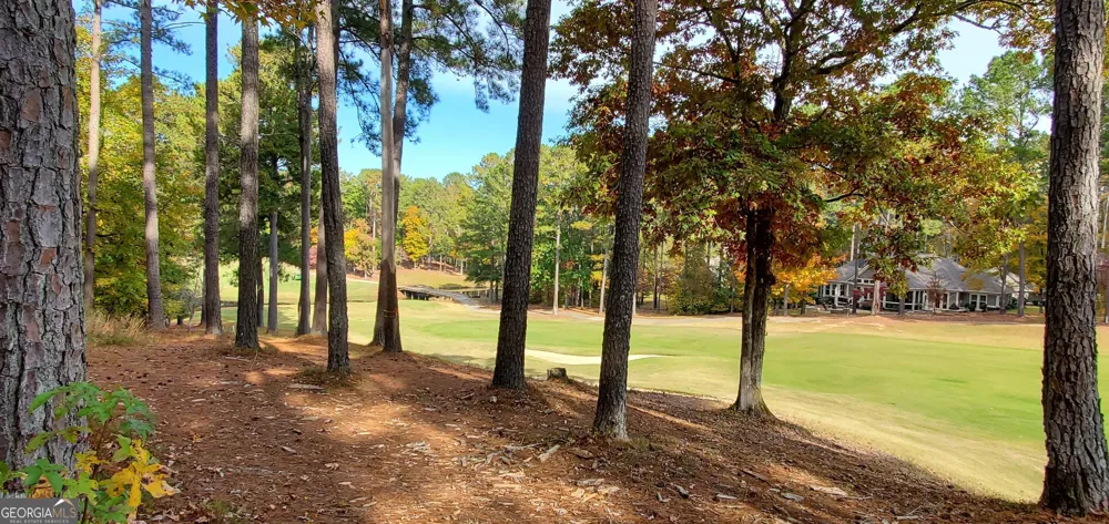 2320 Club DR Greensboro, GA 30642